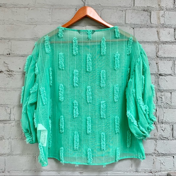 Zara Sheer Green Puff Sleeve Blouse - Picture 7 of 7